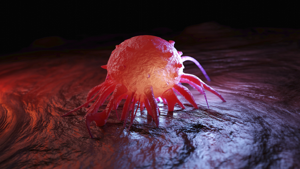 أطعمة مفيدة لتقليل مخاطر الأورام السرطانية!