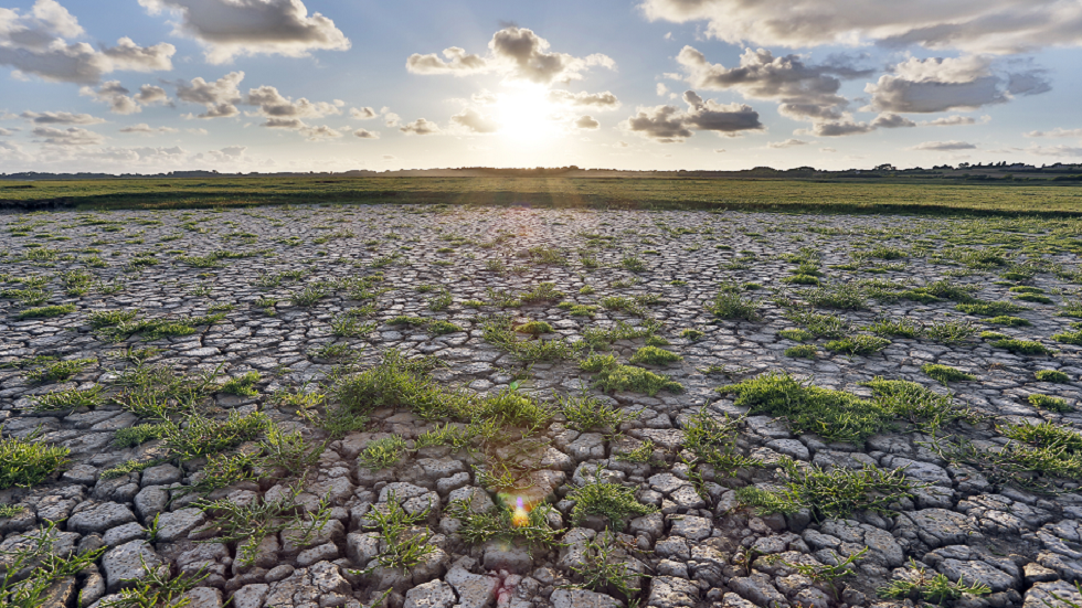 العلماء يحددون أشد موجات الحر المسجلة على الإطلاق!