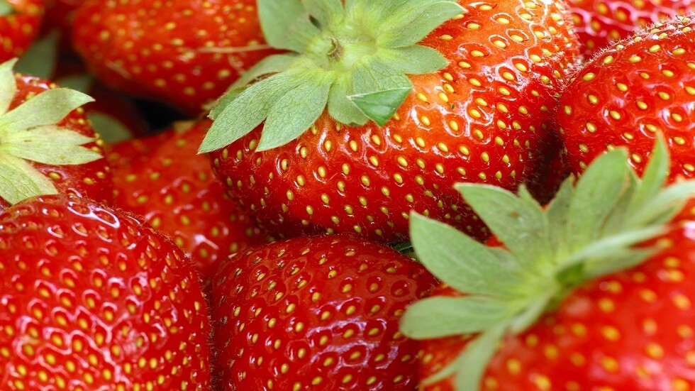 كيف نحدد وجود النترات في الفراولة؟