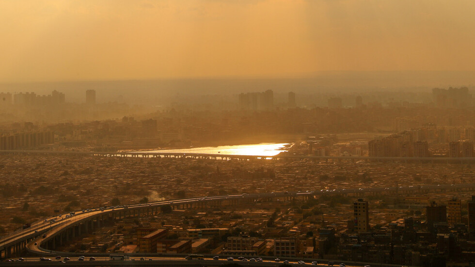 حيوان "غريب" يثير الذعر في مصر (صور)