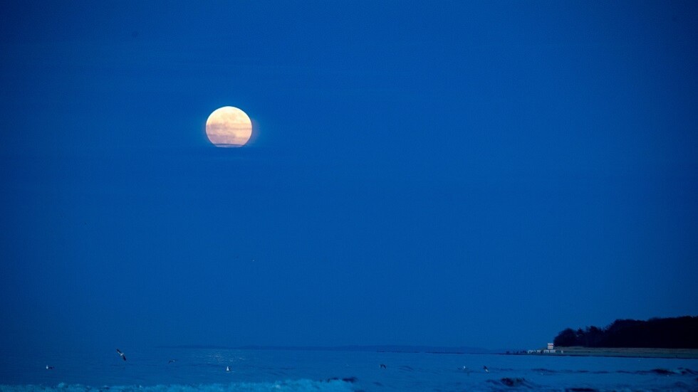 وزير خارجية لاتفيا: بحر البلطيق يتحول لمنطقة تابعة لحلف الناتو