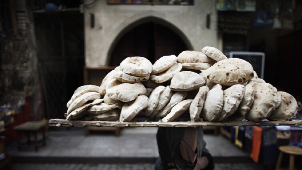 وزير الزراعة المصري: مصر مستثناة من قرار الهند بمنع تصدير القمح