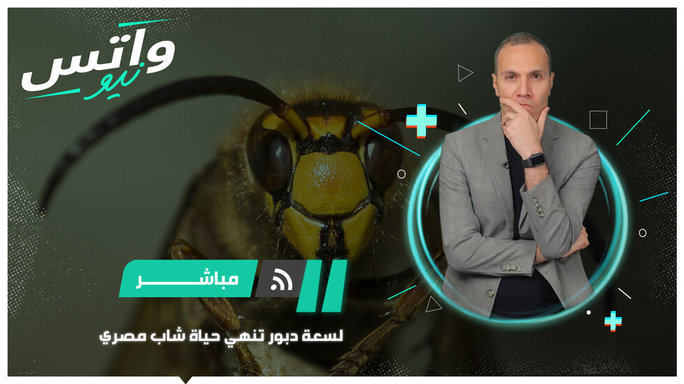 لسعة دبور تنهي حياة شاب مصري