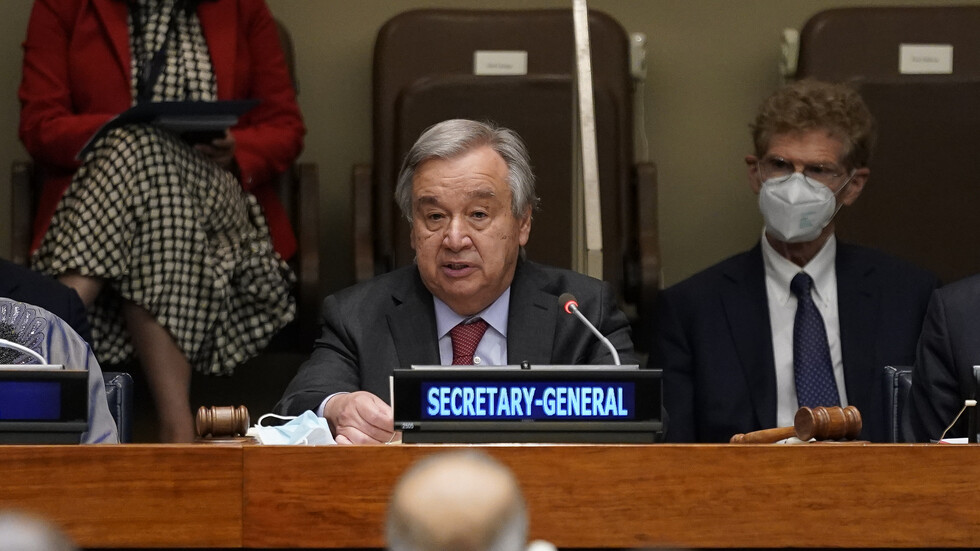 غوتيريش: أزمة الغذاء لا يمكن حلها بدون الأسمدة من روسيا والقمح من أوكرانيا