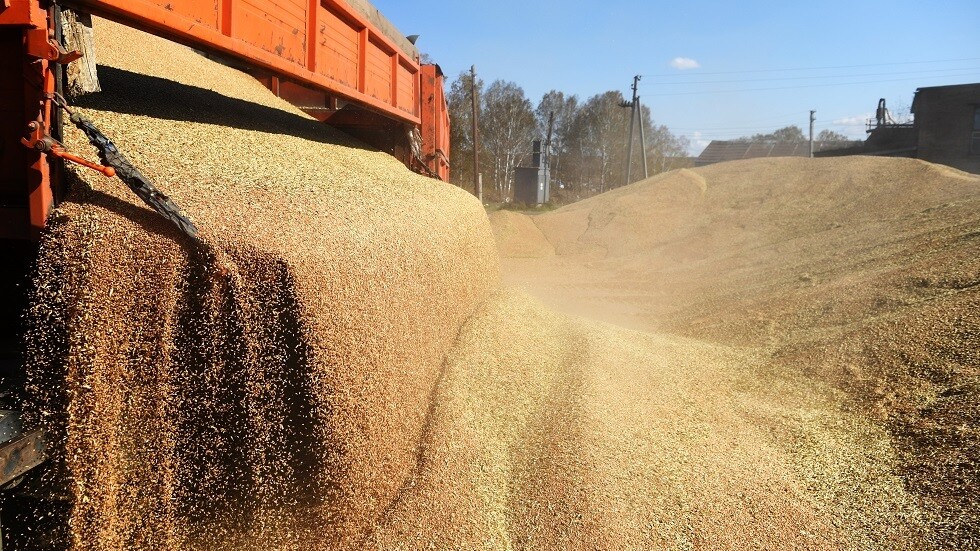 الخارجية الروسية: العديد من الدول الإفريقية طلبت من موسكو إمدادات غذائية