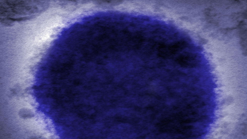 خبراء يحثّون "الجميع" على التأهب لعرضين رئيسيين لجدري القردة!