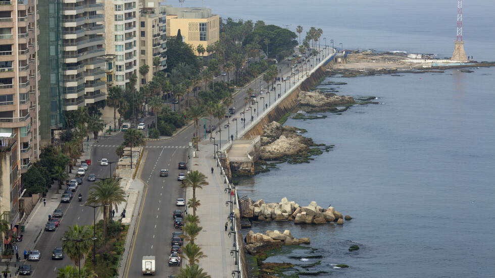 وزير الصحة اللبناني: لا توجد إصابات  بـ"جدري القردة" في البلاد