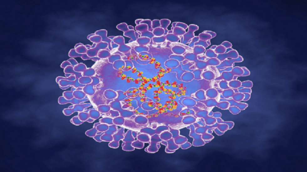 ألمانيا ترصد 4 إصابات بمرض جدري القردة