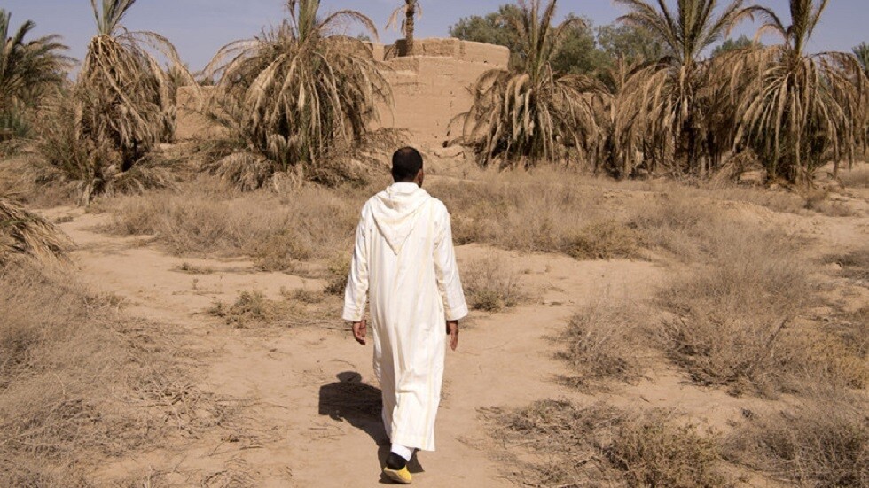 وزير مغربي يكشف إشكالية 