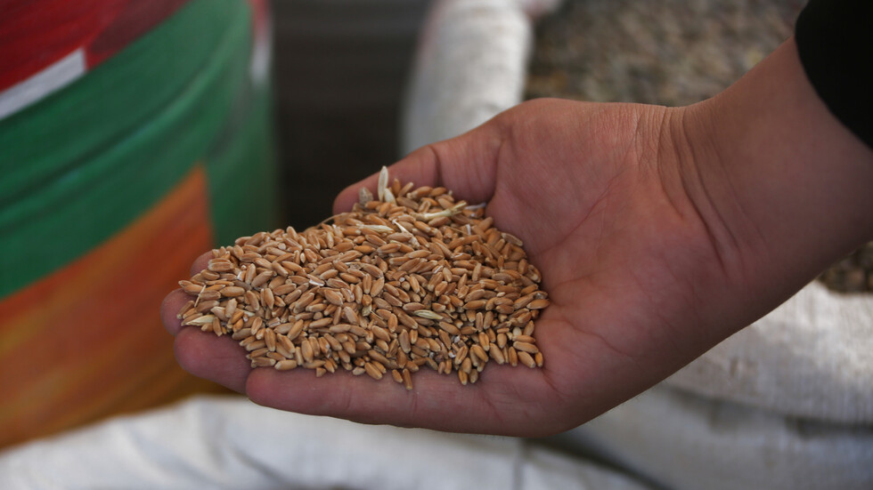 وزير الخارجية التركي يشير إلى استحالة تصدير الحبوب من أوكرانيا عن طريق البحر