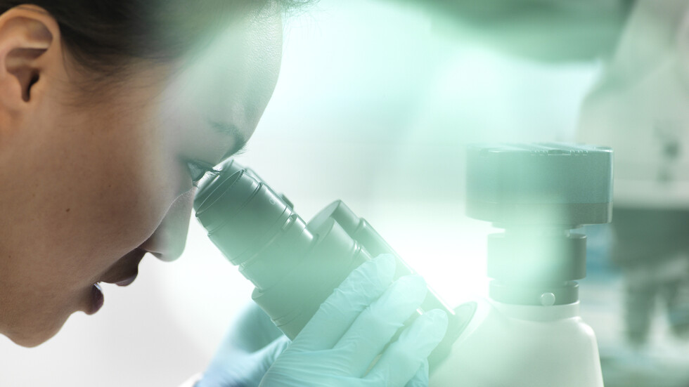 علماء يسعون لفتح بلورة عمرها 830 مليون عام تحتوي على كائنات ربما ما تزال على قيد الحياة