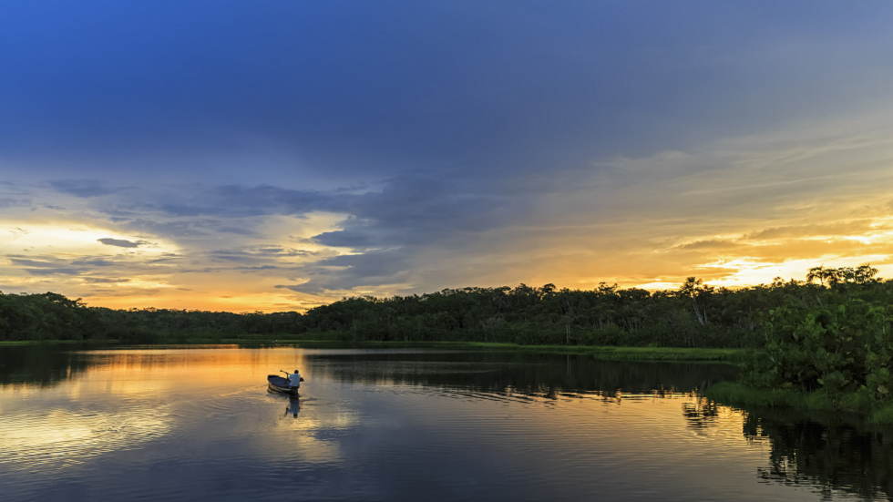 لماذا لا توجد جسور فوق نهر الأمازون؟