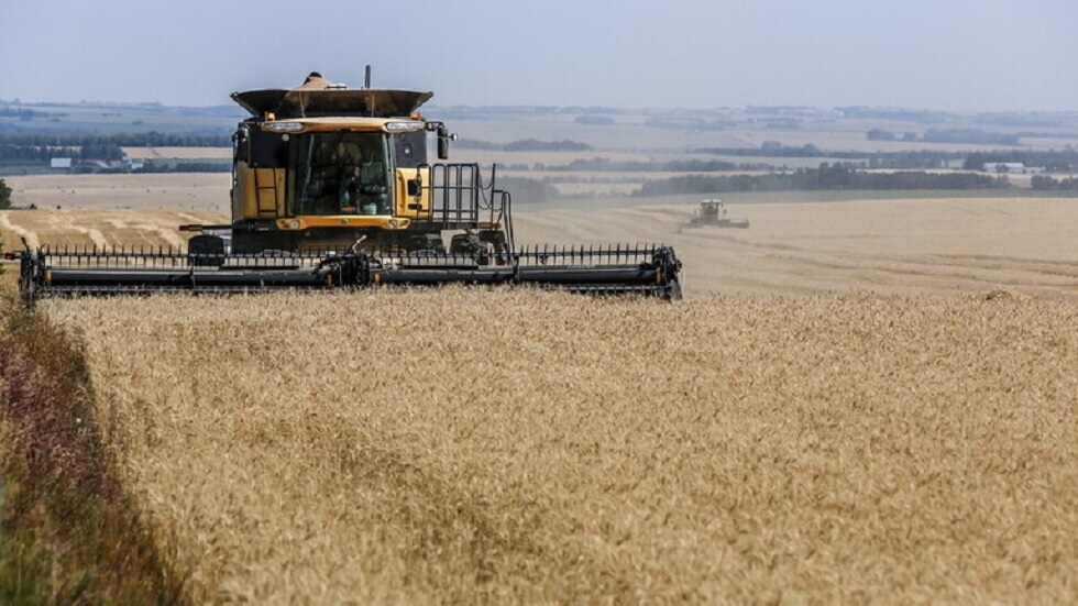 صحيفة ألمانية تدحض الإدعاءات الغربية: روسيا ليست مسؤولة عن ارتفاع أسعار القمح في العام