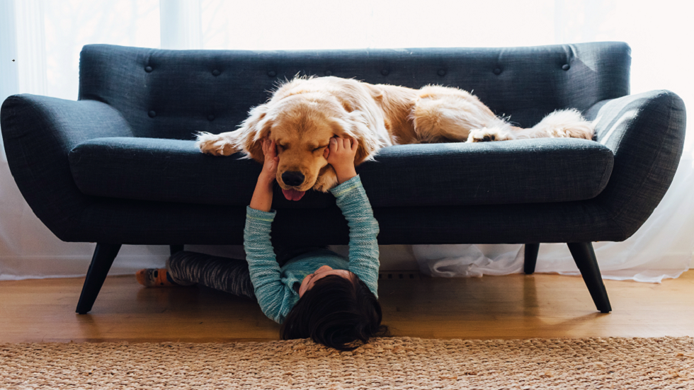 دراسة تكشف أن نمو الأطفال مع وجود كلب قد يحميهم من مرض شائع!