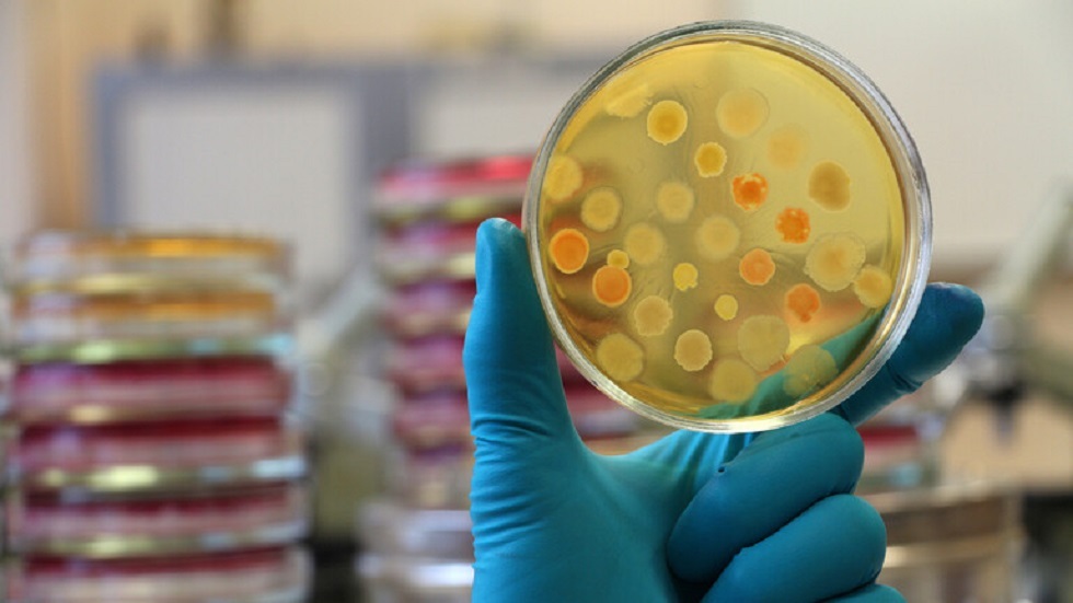 اكتشاف بكتيريا مقاومة للعديد من المضادات الحيوية في القارة القطبية الجنوبية