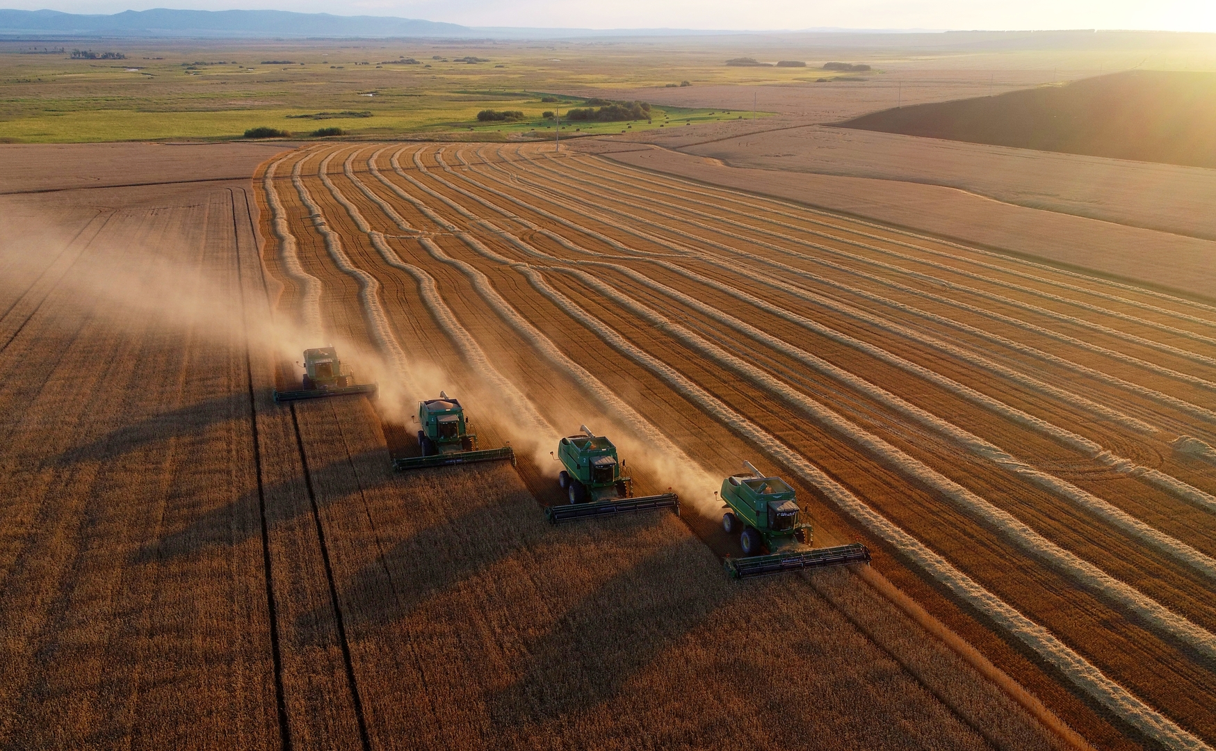 وزير الزراعة الروسي يكشف عن توقعاته لصادرات الحبوب الروسية