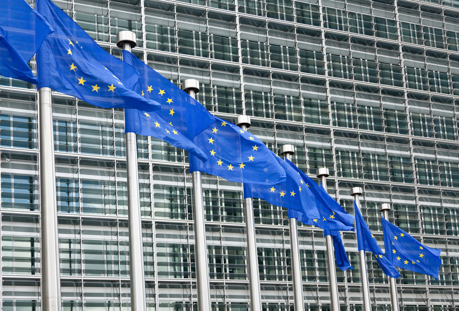 وسائل إعلام: انضمام أوكرانيا سريعا إلى الاتحاد الأوروبي لن يكون في مصلحة بروكسل