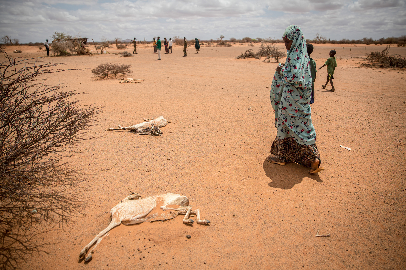 وكالات إغاثة: شبح المجاعة يخيم على منطقة القرن الإفريقي بعد أربعة مواسم جفاف