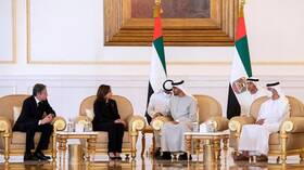 رئيس الإمارات يستقبل هاريس وبلينكن في أبوظبي