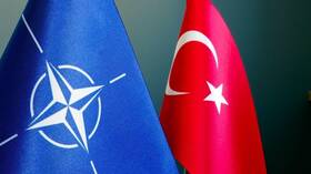 دبلوماسي أمريكي: تركيا أردوغان دمرت وحدة