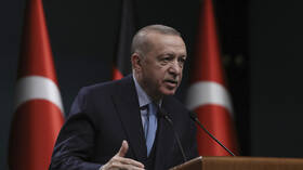 صحيفة: أردوغان يرفع دعوى قضائية ضد زعيم المعارضة بقيمة مليون ليرة تركية