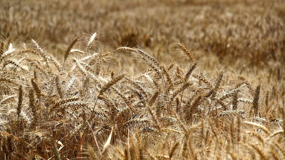 "ظهور مثل هذه الرسائل ليس مفاجئا".. موسكو ترد على تصريحات واشنطن بشأن تصدير الحبوب