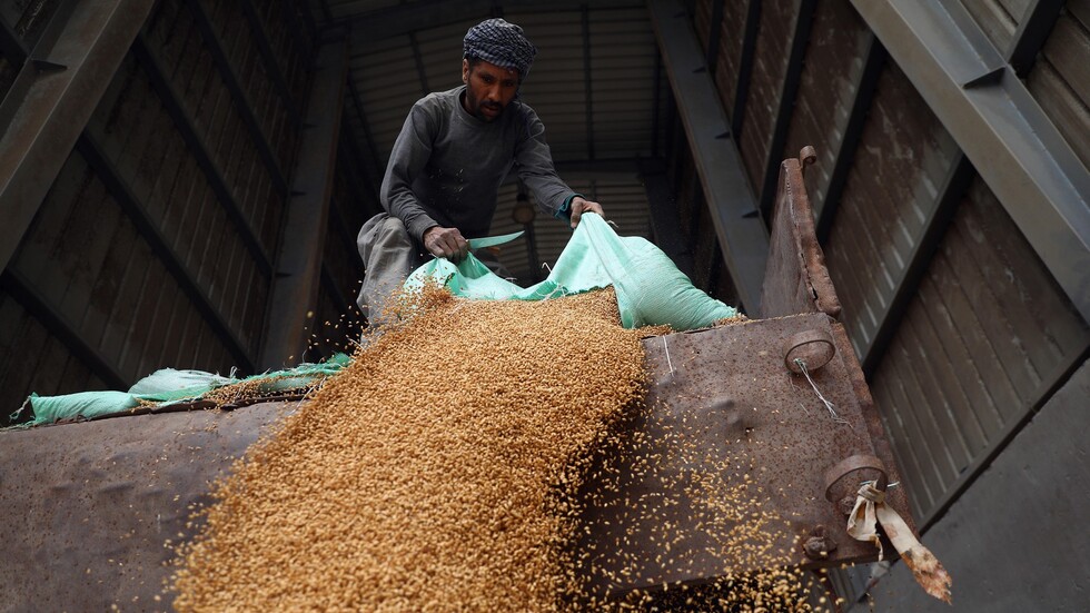 المال والسماد والزرع.. مصر والإمارات والأردن تتفق على مشاريع ضخمة لضمان أمنها الغذائي