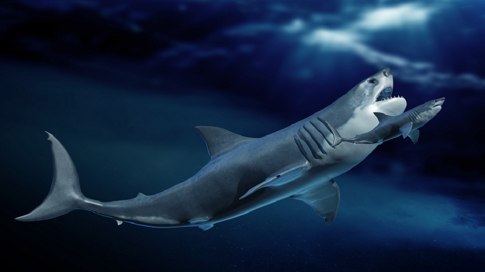 كشف سر الأسنان المتصدعة لدى 