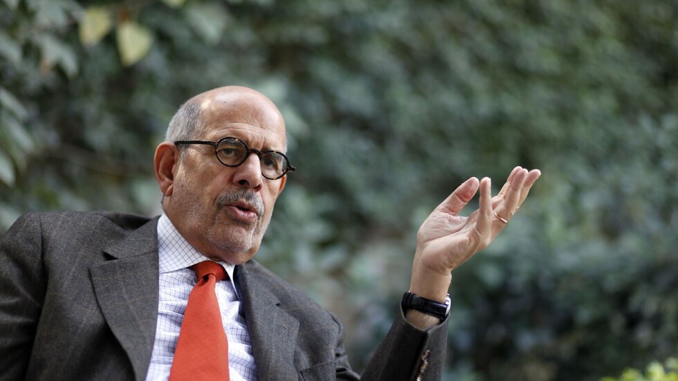 البرادعي يقترح اجتماعا عربيا مع بوتين في ضوء أزمة تصدير الحبوب من أوكرانيا