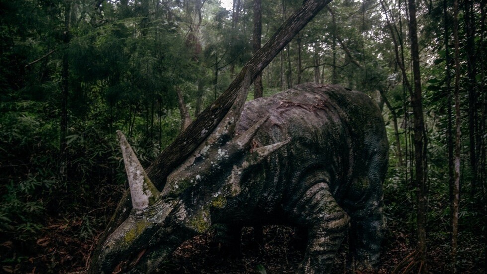 ما سبب انقراض الحيوانات العملاقة؟