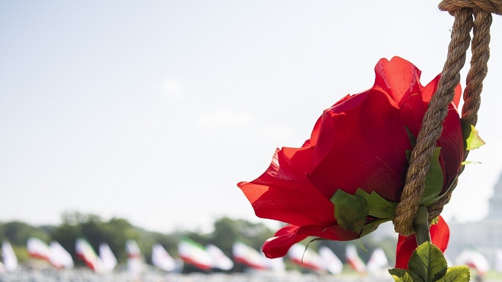 تقرير لمنظمة العفو الدولية يكشف عدد حالات الإعدام في الوطن العربي