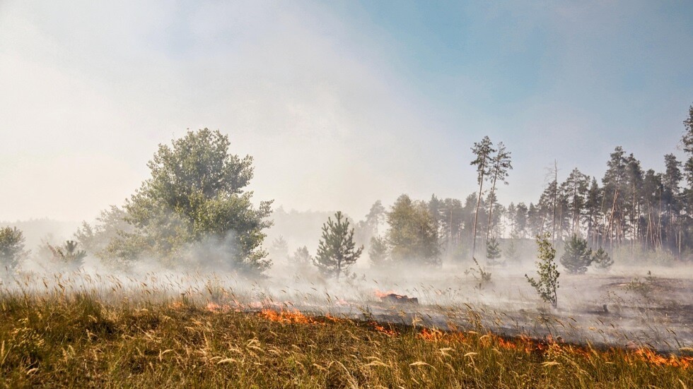 لوغانسك: قوات كييف تستخدم سياسة الأرض المحروقة في دونباس