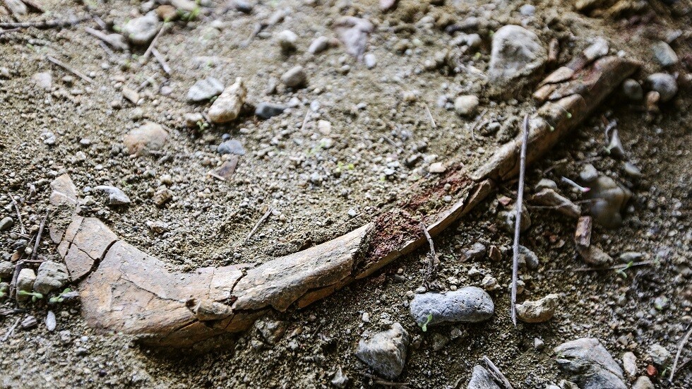 سوريا.. اكتشاف أحد أقدم المدافن الإسلامية في بلاد الشام