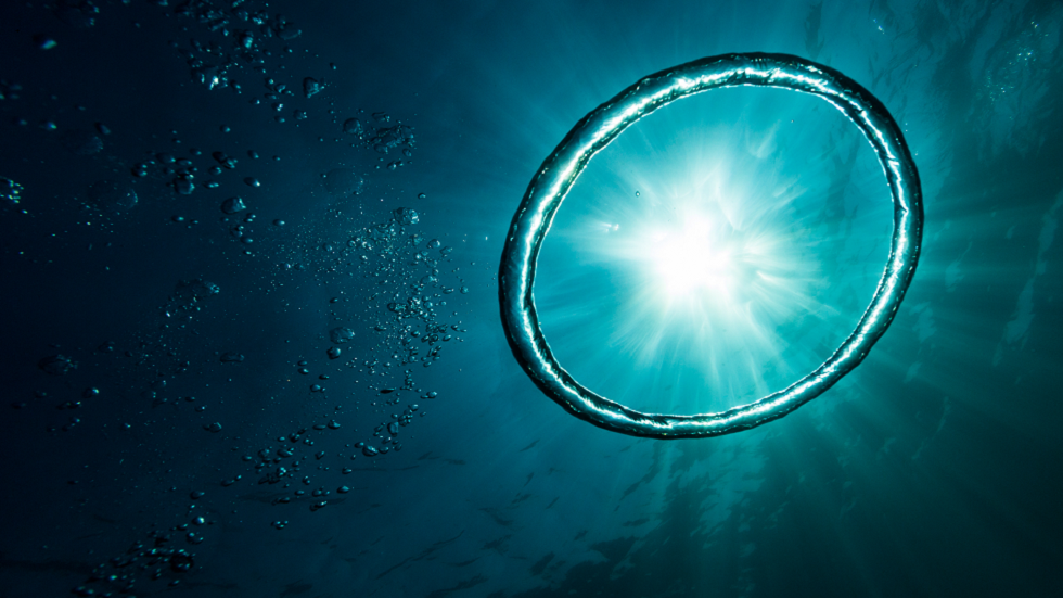 اكتشاف فيروسات تحكم سرا محيطات العالم!