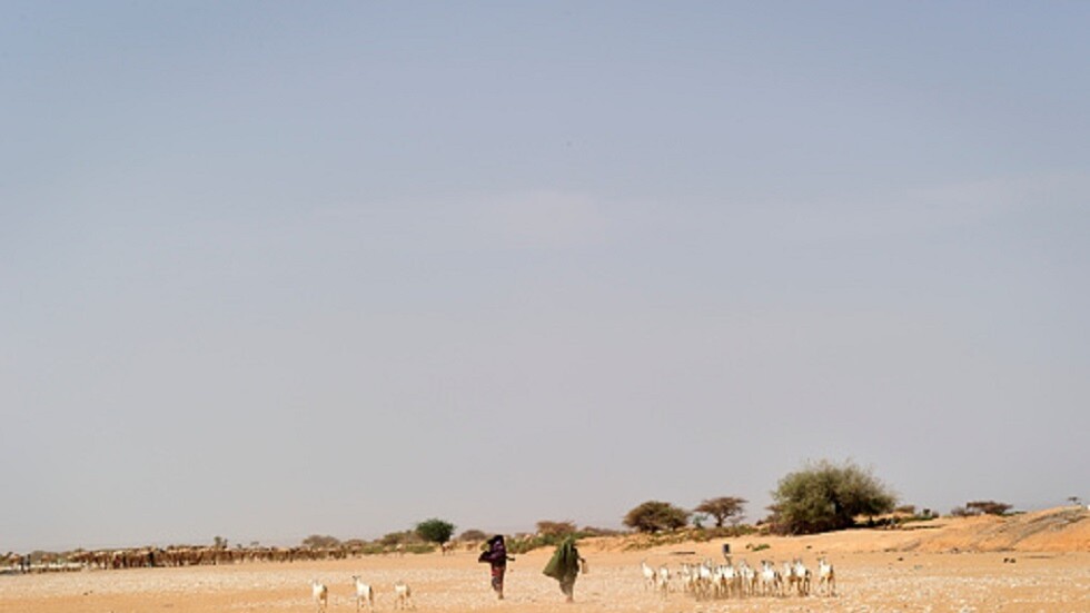 الجفاف يجبر 805 آلاف صومالي على النزوح