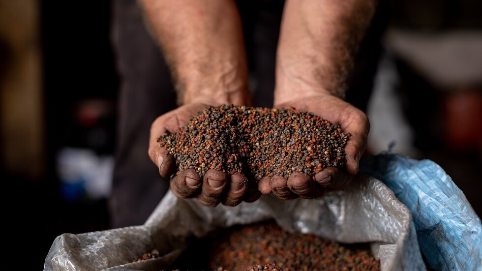 وكالة: واشنطن تشجع الشركات الزراعية وشركات الشحن الغربية على شراء المزيد من الأسمدة الروسية بتكتم