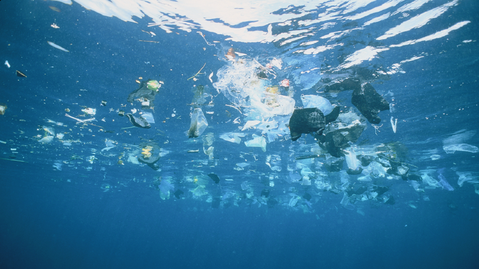 بكتيريا تعيش على تلوث المحيطات بالبلاستيك قد توفر مصدرا جديدا للمضادات الحيوية!