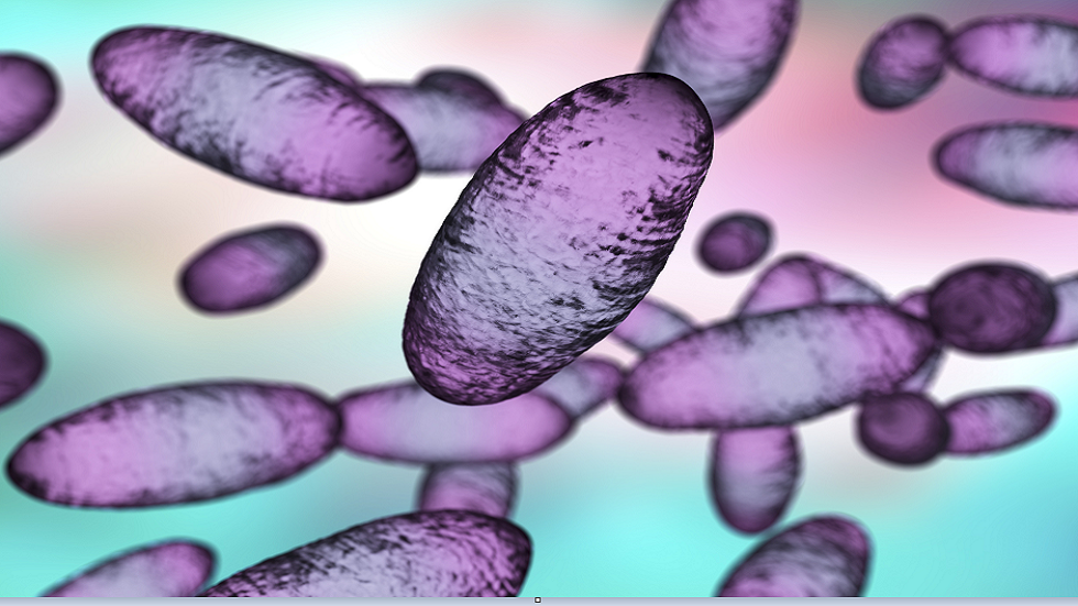 كشف أصول الموت الأسود!