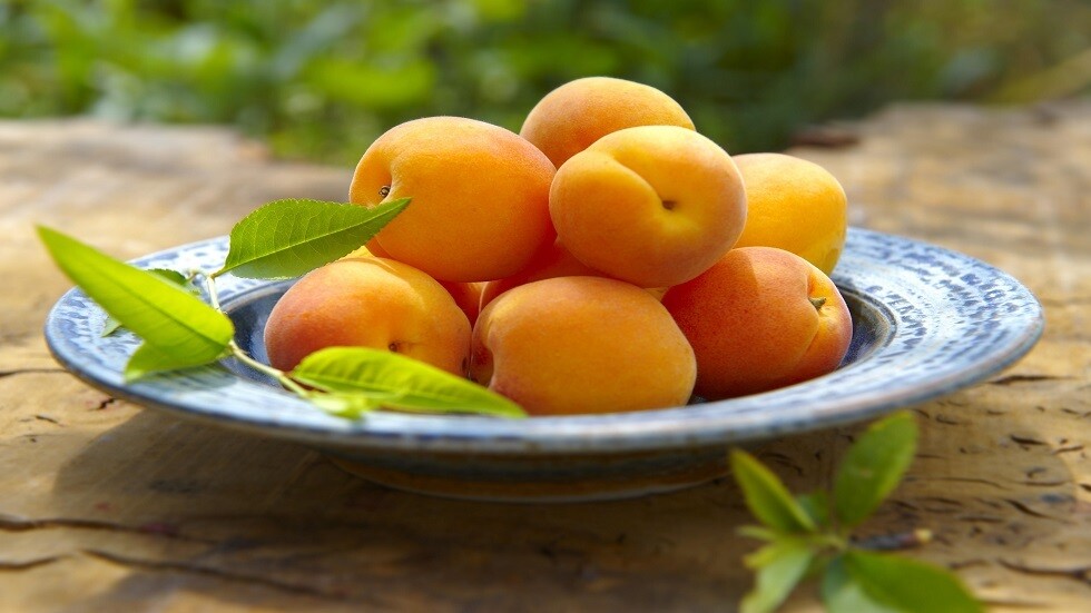 ما هي مدة تحلل المواد الكيميائية المستخدمة في معالجة المشمش؟