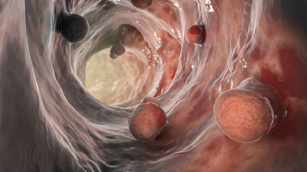 كيف يمكن للعلم الكامن وراء خوارزمية 