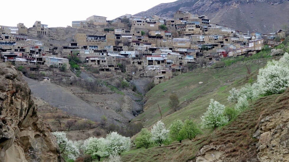 هيئة حماية المستهلك الروسية تحقق في تسمم 49 شخصا في داغستان