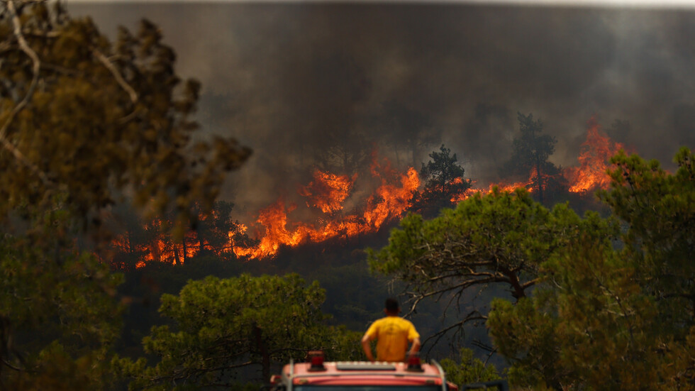 تركيا تعلن احتدام حرائق غابات مرمريس مع اشتداد الرياح