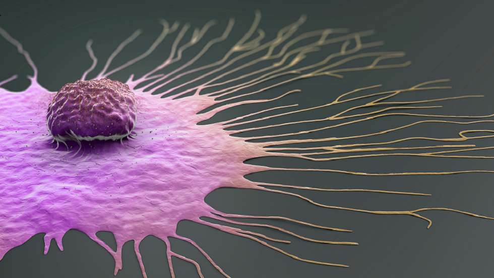 دراسة توضح متى ينتشر سرطان الثدي بقوة أكبر!