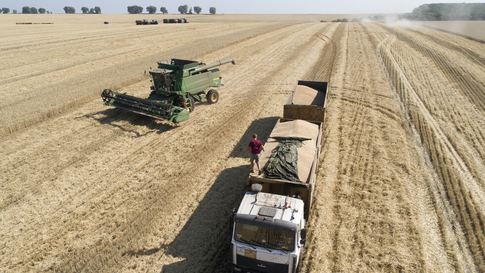 صحيفة: مشاكل تواجه القطاع الزراعي الروسي بسبب العقوبات الغربية