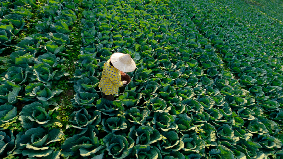 النيجير تستثمر "بول البشر"