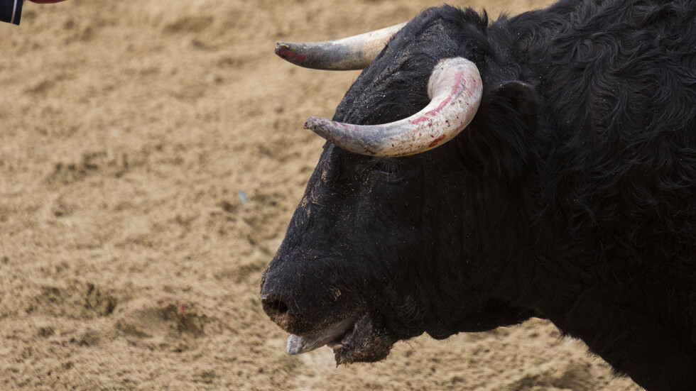 قتلى وجرحى جراء انهيار منصة لمصارعة الثيران في كولومبيا (فيديو)