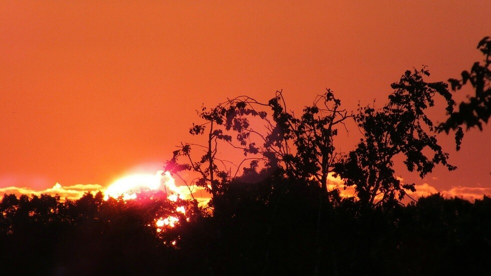 الحكومة اليابانية تسمح بإمكانية إعلان حالة التأهب في قطاع الطاقة