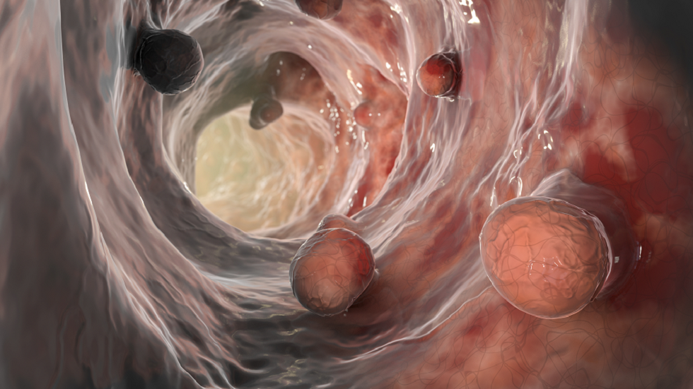 العلماء يجدون 