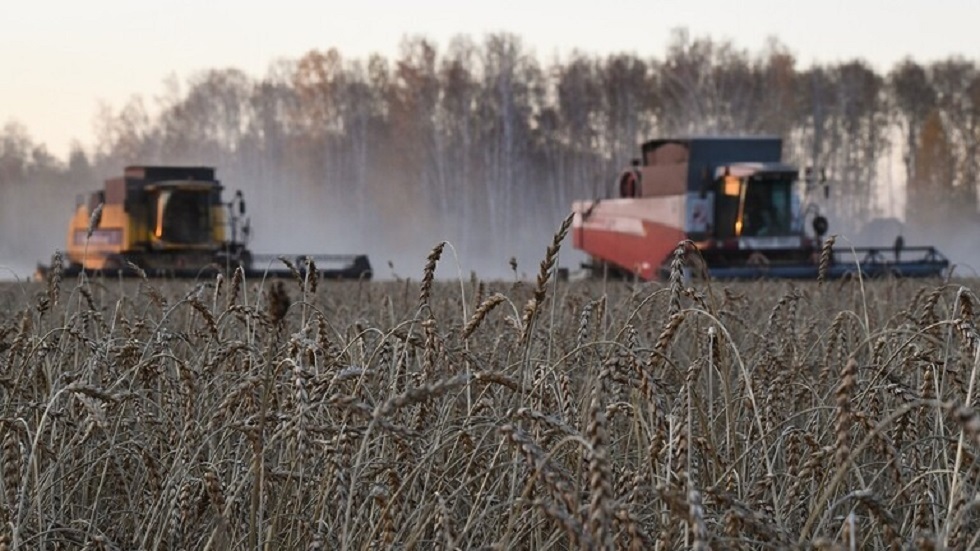 منظمة الأمم المتحدة للأغذية والزراعة تحذر: مضاعفات الأزمة الأوكرانية قد تتسبب في مجاعة عالمية