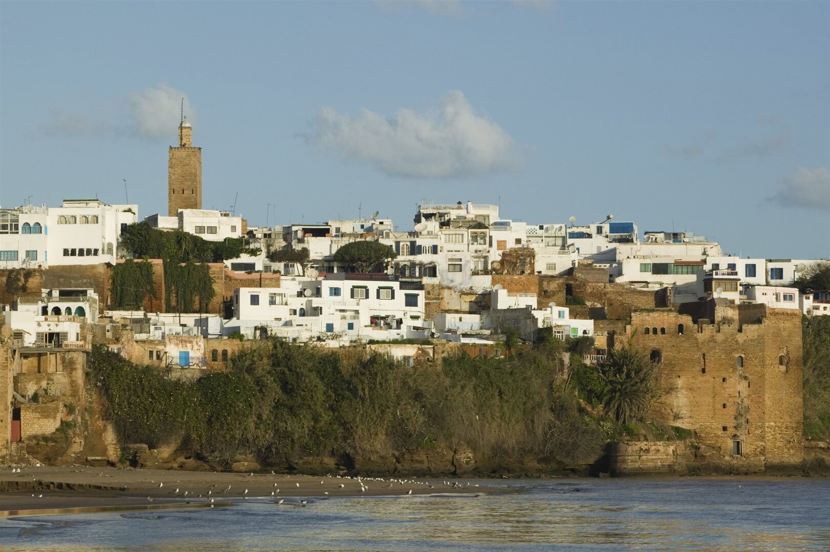 رئيسة المجلس الوطني لحقوق الإنسان بالمغرب تنتقد قرار سحب كتاب 
